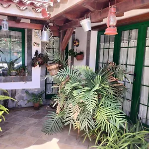 El Llanete Vega de San Mateo